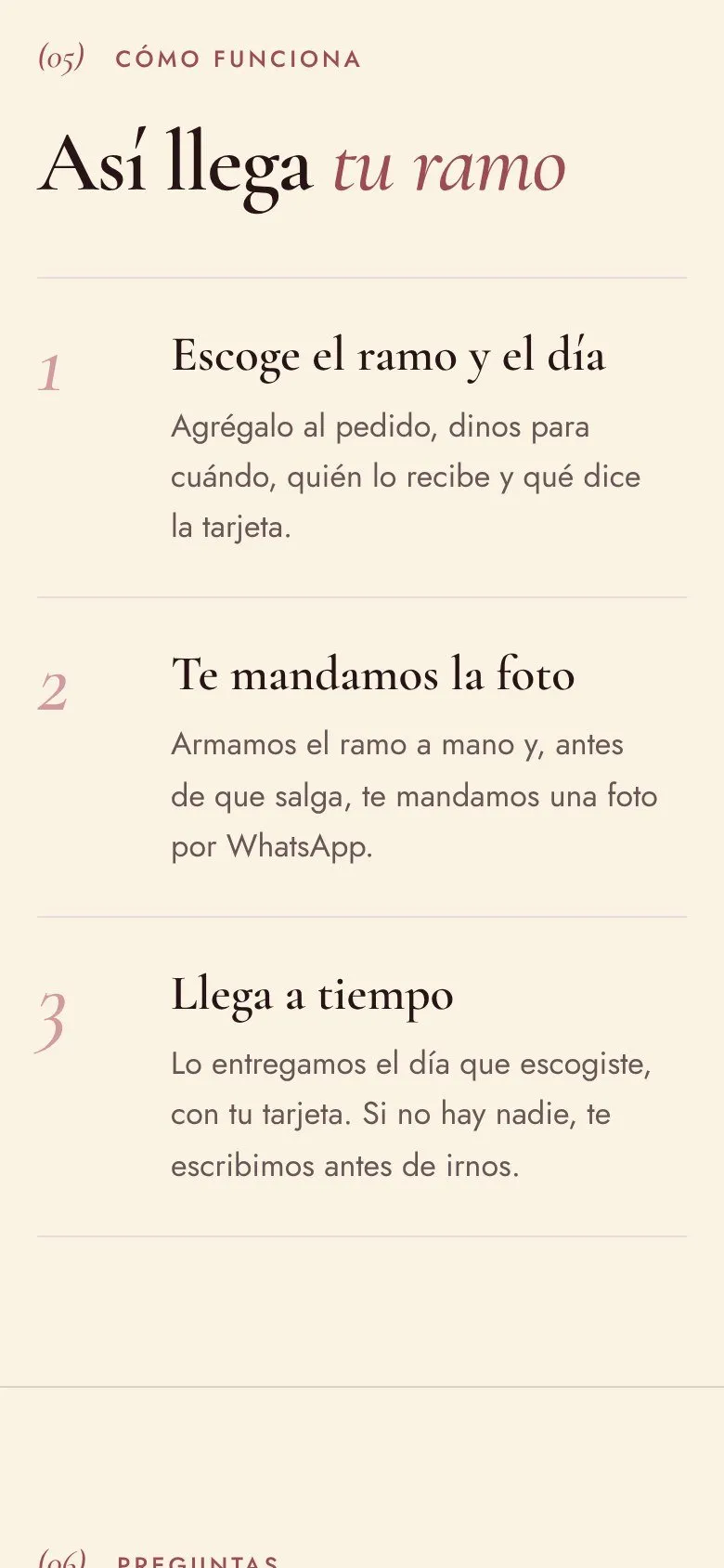 Pantalla de celular de una web de muestra (12)