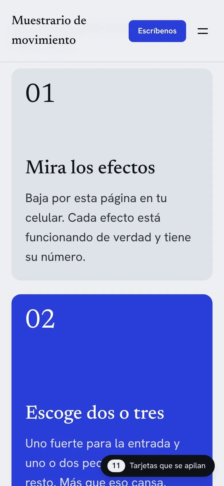 Pantalla de celular de una web de muestra (11)